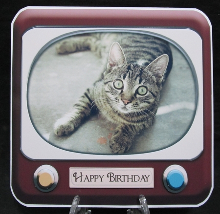 Tabby Cat on a Retro TV Mini Kit by Suzi Cooper