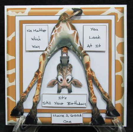No Matter Which Way You Look At It by Suzi Cooper