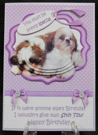 Pretty special birthday wishes mini kit by Suzi Cooper