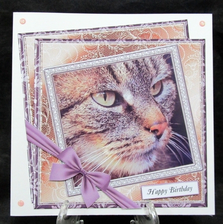 NEW STASH TOP UP GREY TABBY CAT by Suzi Cooper