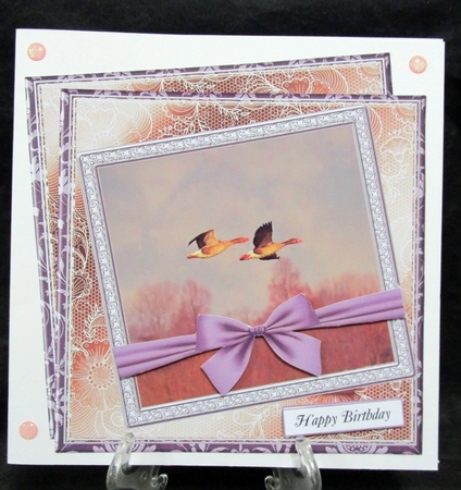 NEW STASH TOP UP WILD GEESE by Suzi Cooper