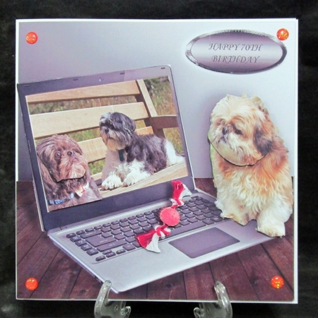 shih tzu by Suzi Cooper