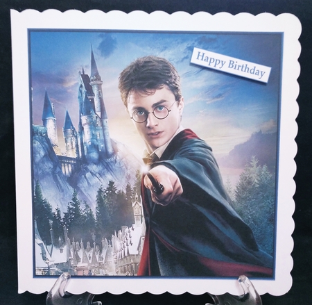 Harry Potter 1 8x8 Quick Card by Suzi Cooper
