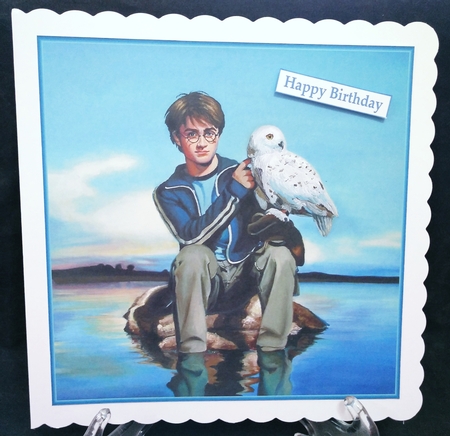 Harry Potter 2 8x8 Quick Card by Suzi Cooper