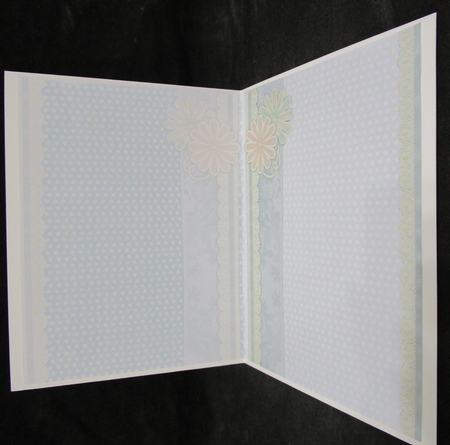 Dots, Lace and Flowers Insert by Suzi Cooper