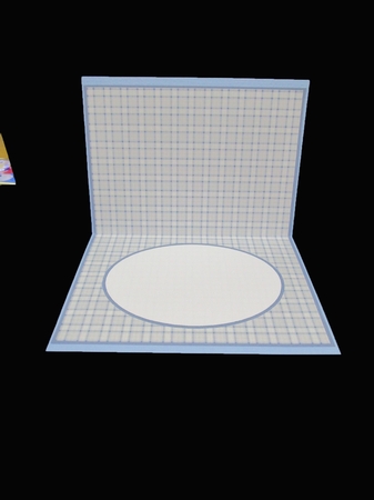 Blue And Grey Check Insert by Suzi Cooper