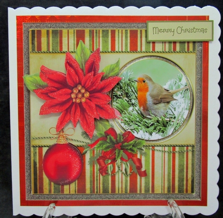 Robin and poinsettia by Suzi Cooper