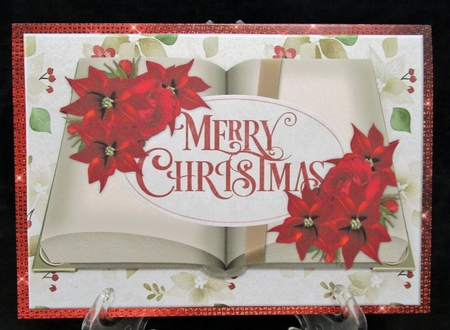 Christmas Book by Suzi Cooper