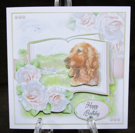 A Dog is a Friend for Life...Cocker Spaniel by Suzi Cooper