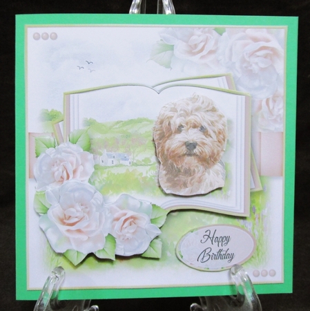 A Dog is a Friend for Life...Havanese by Suzi Cooper