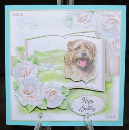 A Dog is a Friend for Life...Norfolk Terrier by Suzi Cooper