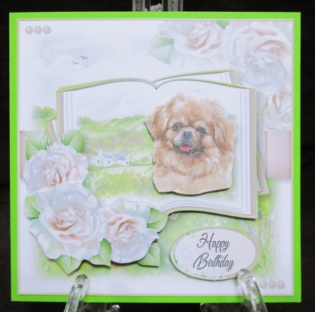 A Dog is a Friend for Life...Tibetan Spaniel by Suzi Cooper