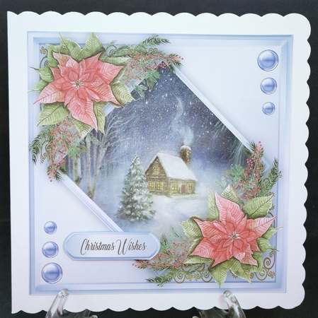 Beautiful Poinsettias and Scene 3 by Suzi Cooper