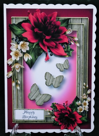 Dahlia Butterfly Trio - Magenta by Suzi Cooper