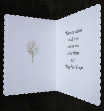  Christmas insert by Suzi Cooper
