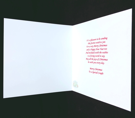 TWOS COMPANY INSERT by Suzi Cooper