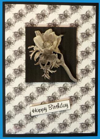 Anemone in Grey Background Paper Smaller Flower by Suzi Cooper