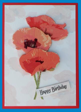 Poppy Art Trio Vellum by Suzi Cooper