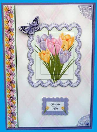 Crocus Spring Flowers with a Butterfly by Suzi Cooper