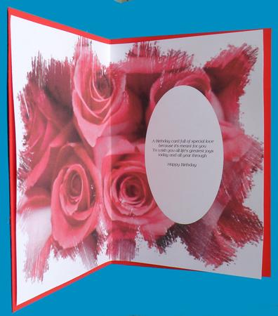 Rose with Feathered Edge Vellum or Insert Candy Pink by Suzi Cooper