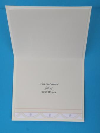 Egg Shell Lace Edge with Pearls Vellum Insert or Backing Pap by Suzi Cooper