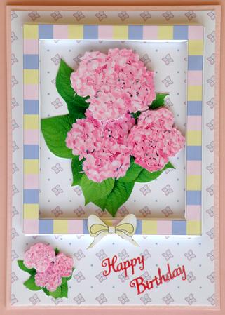 Dream Garden Kits - Hydrangeas by Suzi Cooper