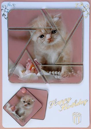 Sorry Camera Eye Stacker by Suzi Cooper