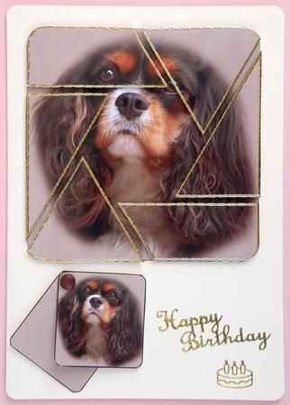 Sorry (2) Camera Eye Stacker by Suzi Cooper