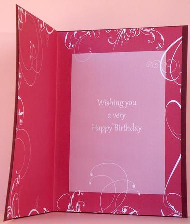 Swirl Insert Raspberry 2 Birthday by Suzi Cooper