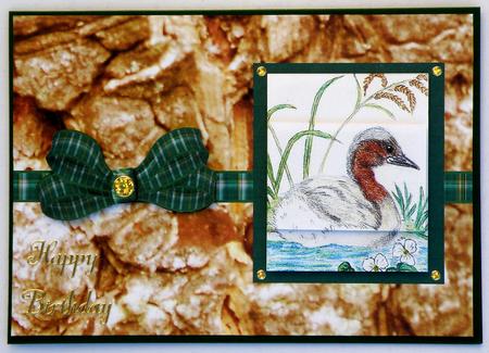 Grebe by Suzi Cooper