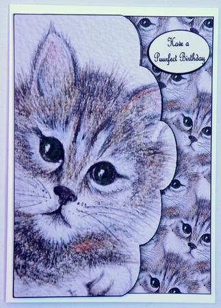 Purrfect Puss Scalloped by Suzi Cooper