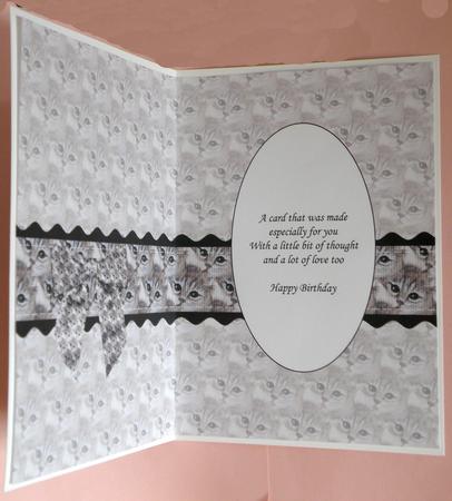 Puurfect Pussy Insert by Suzi Cooper