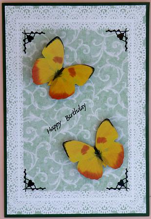 Lace Frames - Leafy Swirls 3 by Suzi Cooper