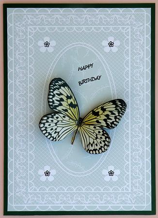 Butterfly Lace A4 Card Front in Aqua Blue by Suzi Cooper