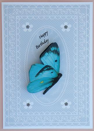 Butterfly Lace A4 Card Front in Blue by Suzi Cooper