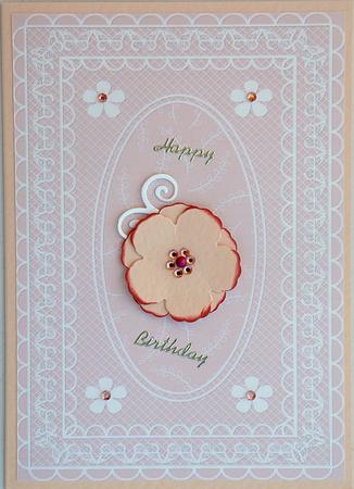 Butterfly Lace A4 Card Front in Rose by Suzi Cooper