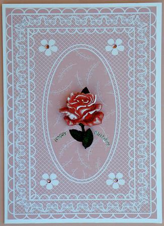 Butterfly Lace A4 Card Front in Blush Rose by Suzi Cooper