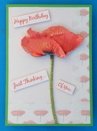 Poppy Step by Step by Suzi Cooper