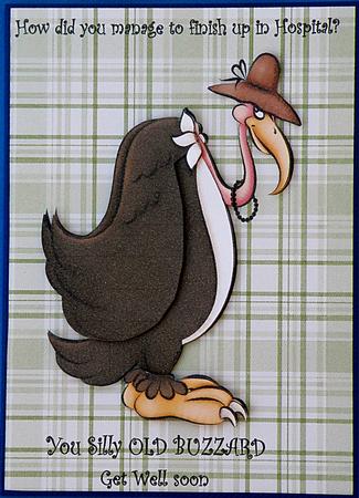 Get Well You Old Buzzard by Suzi Cooper