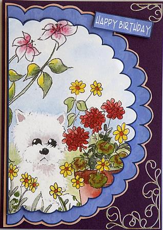Yorkie in the Flowers by Suzi Cooper
