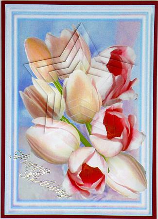 Tulips Any by Suzi Cooper