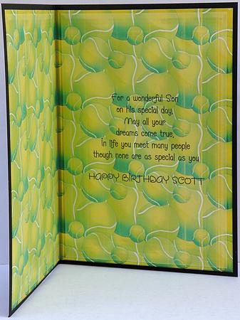 The King of the Tennis Ball Insert by Suzi Cooper