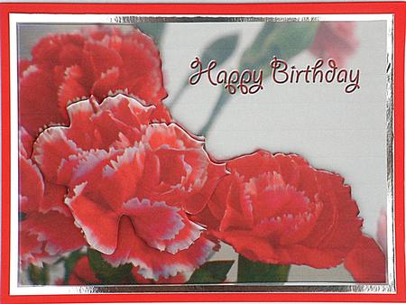 Carnations Card Front Plus - Birthday by Suzi Cooper