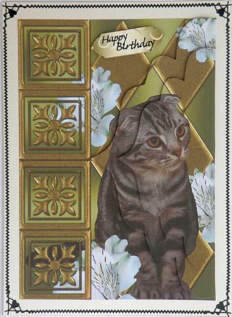 Cat at a Panel Side Stacker Card by Suzi Cooper