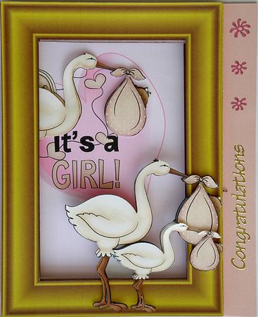 Inside Out Card Its a Girl by Suzi Cooper