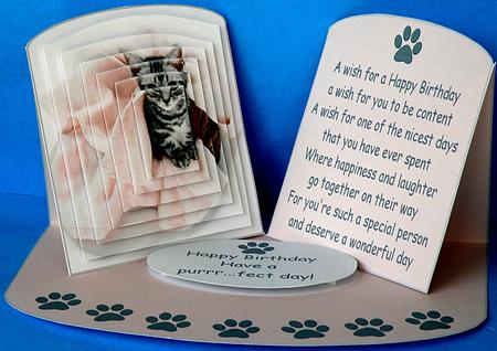 Have a Purrr - fect Day by Suzi Cooper