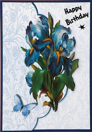 Iris Envelope Card by Suzi Cooper