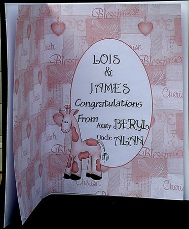 Triplets Insert by Suzi Cooper