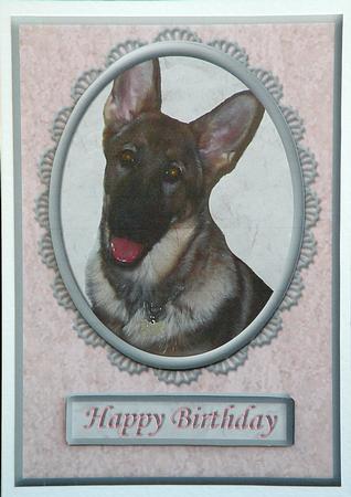 German Shepherd Pink/silver Various Occasion Card by Suzi Cooper
