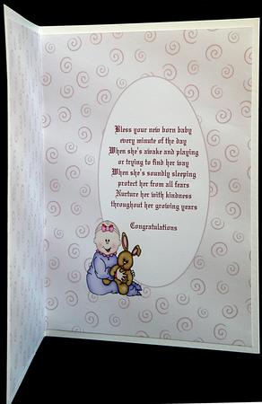 Babygirl Bib Insert by Suzi Cooper